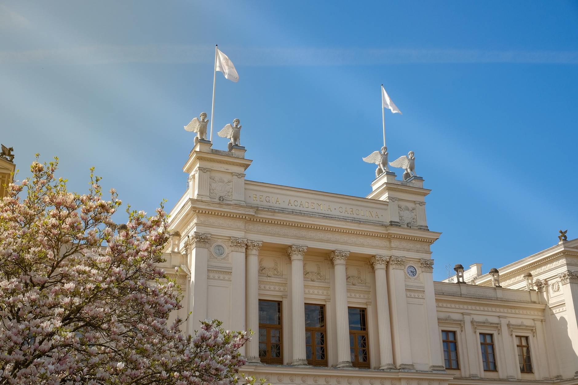 Ilustracja przedstawiająca ludzi w garniturach analizujących wykresy, symbolizująca rekrutację kadry zarządzającej w Sochaczewie na globalnych rynkach.